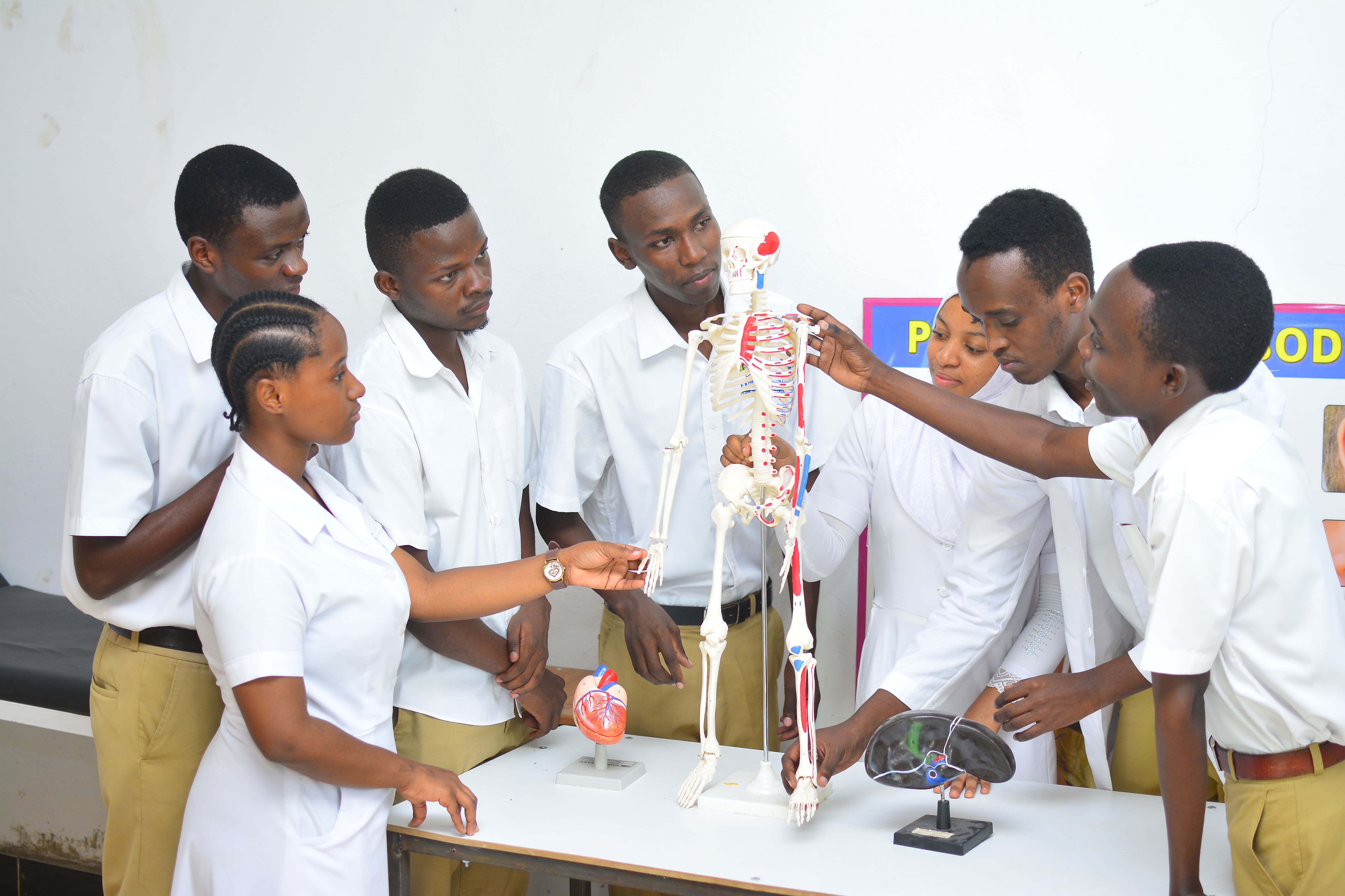 <span>DIPLOMA IN</span>CLINICAL MEDICINE